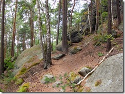 Gohrisch-1
