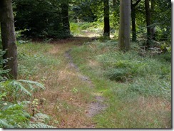 Schneeberg-17