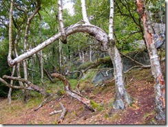 Schneeberg-28