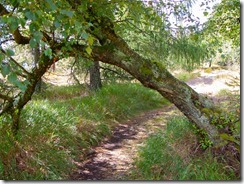 Schneeberg-43