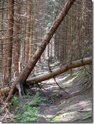 Dürrkamnitz-37