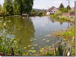 Dürrkamnitz-47