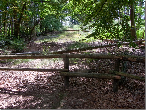 Grenzweg-10